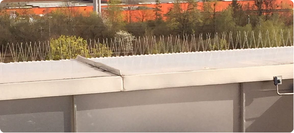 Dünne, gespannte Edelstahldrähte erschweren das Landen und Sitzen, während Spikes als physische Barriere verhindern, dass sich Tauben niederlassen.